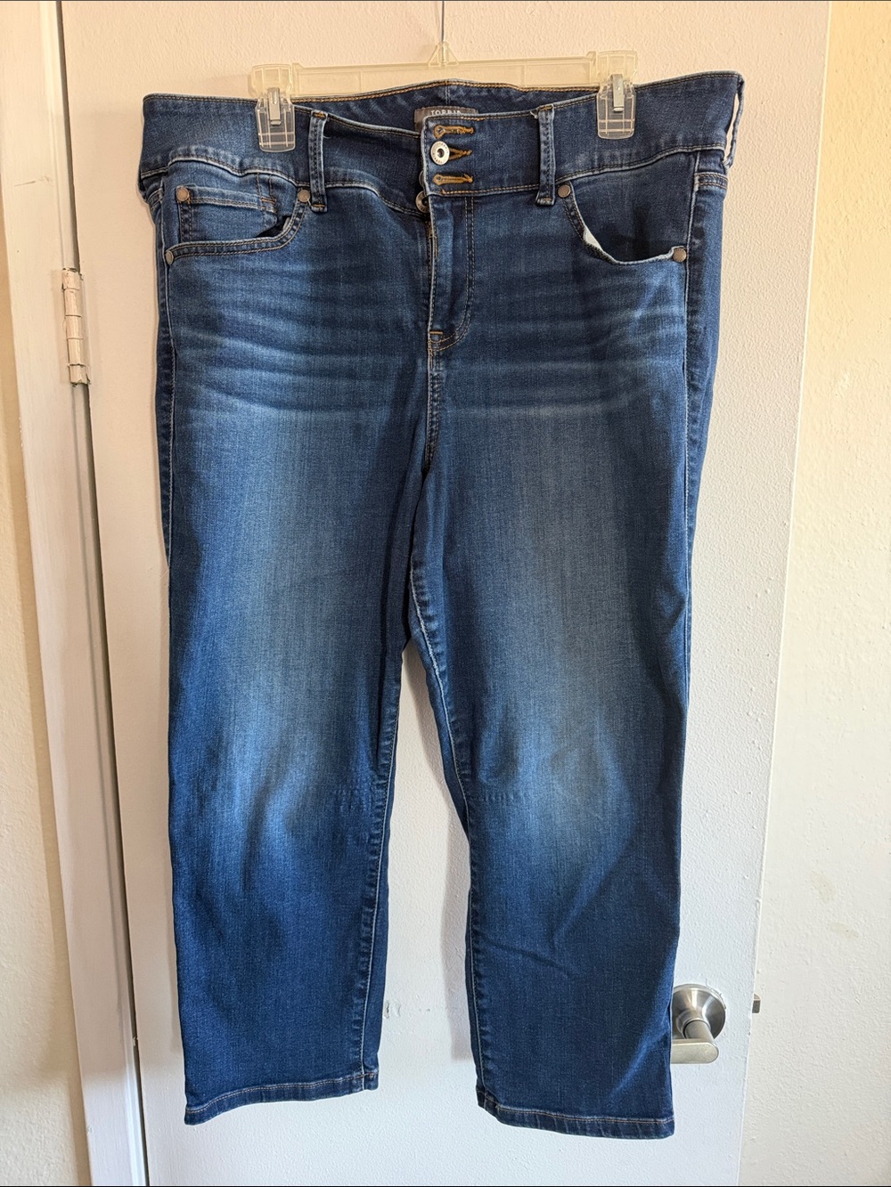 torrid Dark Blue Ankle Skinny Jeans